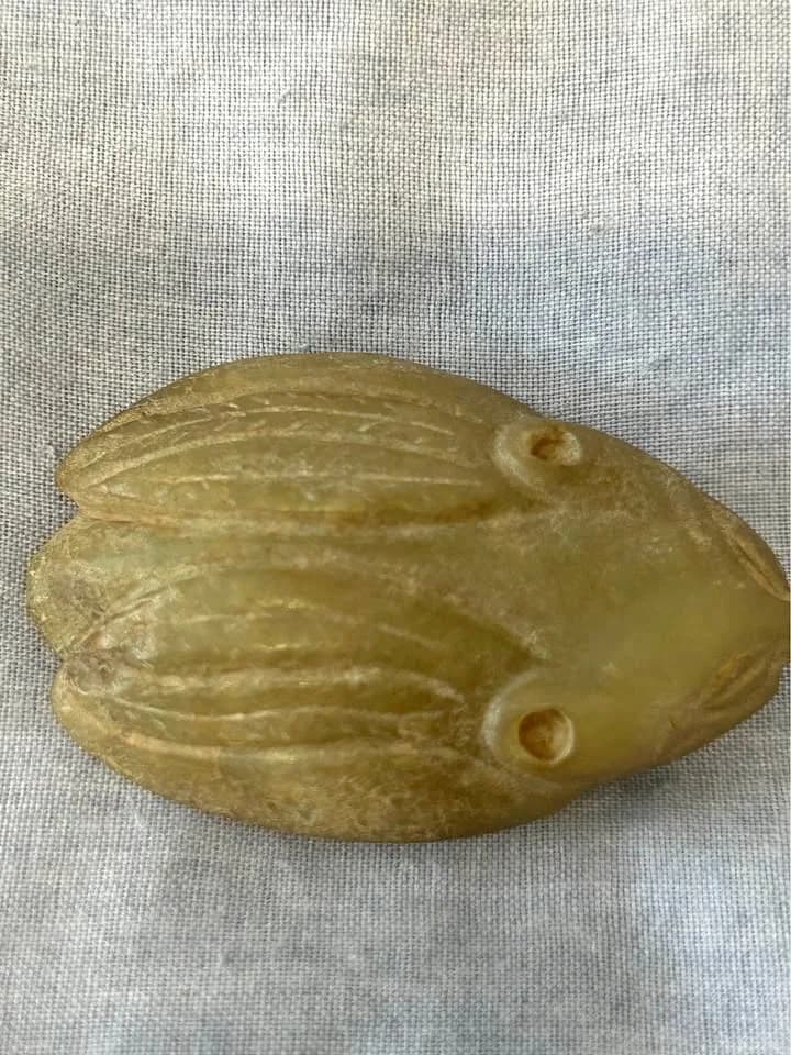 Chinese Hongshan Culture Jade Cicada